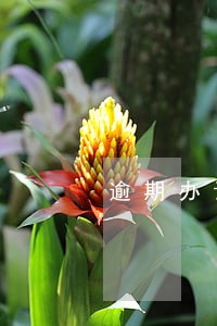 逾期办证违约金过低调整案例依据 逾期办证违约金过低调整案例依据