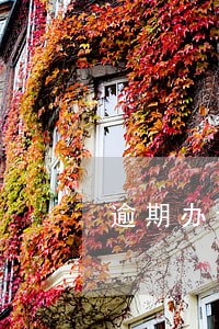 逾期办证退房装修费用 逾期办证退房装修费用