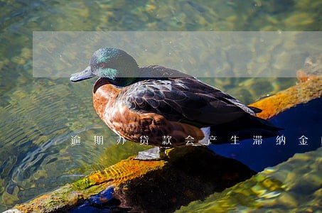 逾期办贷款会产生滞纳金吗 逾期办贷款会产生滞纳金吗