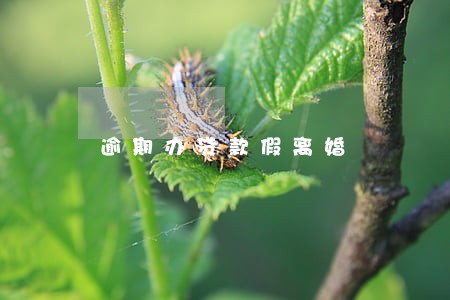 逾期办贷款假离婚 逾期办贷款假离婚