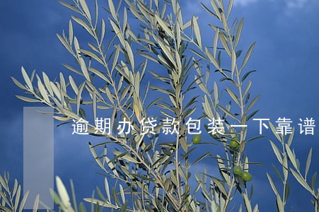 逾期办贷款包装一下靠谱吗 逾期办贷款包装一下靠谱吗