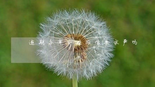 逾期办车贷对征信要求严吗 逾期办车贷对征信要求严吗