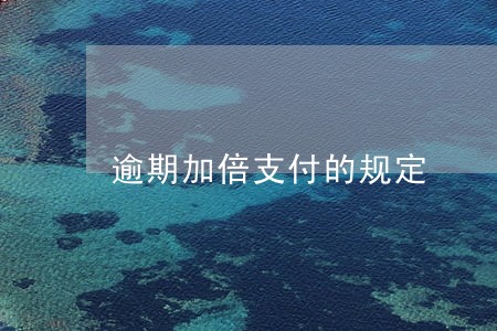 逾期加倍支付的规定 逾期加倍支付的规定