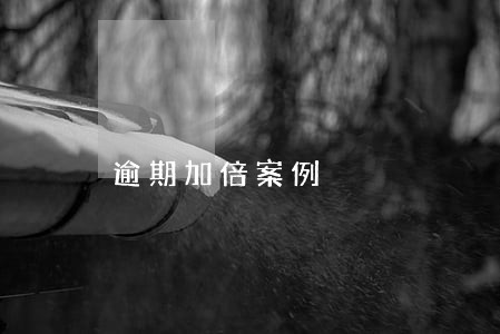 逾期加倍案例 逾期加倍案例