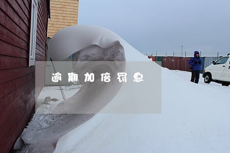 逾期加倍罚息 逾期加倍罚息