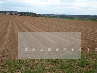 逾期加倍赔偿是啥意思 逾期加倍赔偿是啥意思