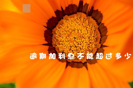 逾期加利息不能超过多少天 逾期加利息不能超过多少天