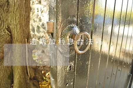 逾期加利息合法吗 逾期加利息合法吗