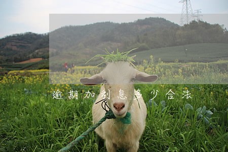 逾期加利息多少合法 逾期加利息多少合法