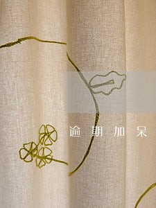 逾期加呆账可以办车贷吗 逾期加呆账可以办车贷吗