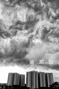 逾期加急立案 逾期加急立案