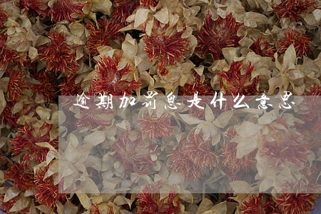 逾期加罚息是什么意思 逾期加罚息是什么意思