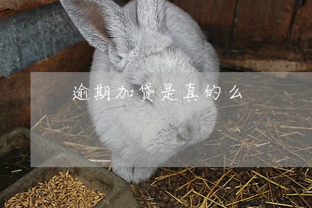 逾期加贷是真的么 逾期加贷是真的么