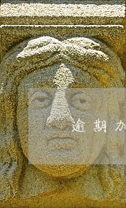 逾期加违约金 逾期加违约金