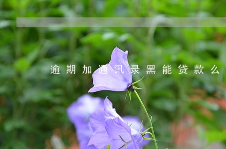 逾期加通讯录黑能贷款么 逾期加通讯录黑能贷款么