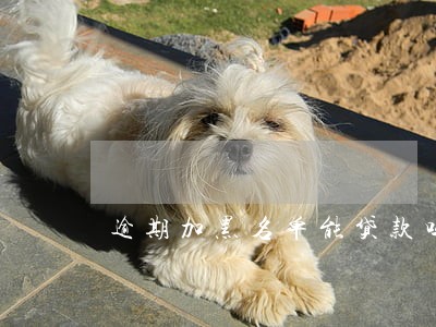 逾期加黑名单能贷款吗 逾期加黑名单能贷款吗