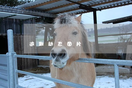 逾期动态图片 逾期动态图片