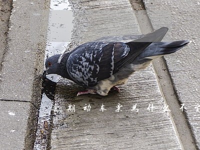 逾期动车票为什么不能退款 逾期动车票为什么不能退款
