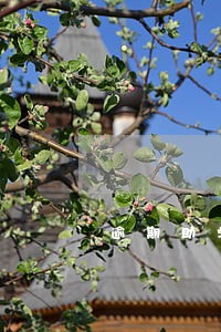 逾期助学贷款已经还清四年 逾期助学贷款已经还清四年