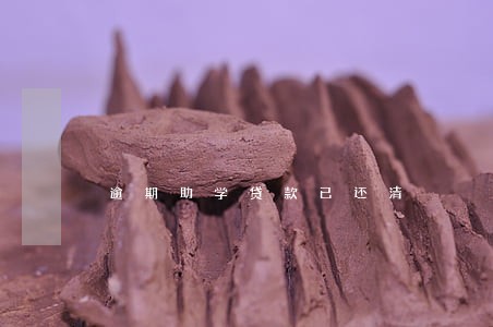 逾期助学贷款已还清 逾期助学贷款已还清