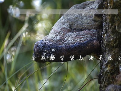 逾期助学贷款是不良信用记录吗