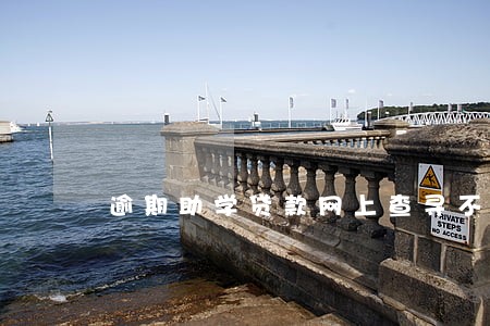 逾期助学贷款网上查寻不到 逾期助学贷款网上查寻不到