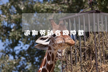 逾期劳动合同仲裁 逾期劳动合同仲裁