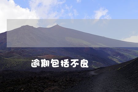 逾期包括不良 逾期包括不良