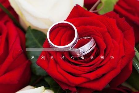 逾期包括代偿金额吗 逾期包括代偿金额吗