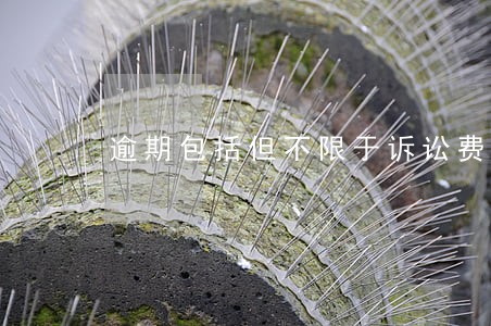 逾期包括但不限于诉讼费律师费 逾期包括但不限于诉讼费律师费