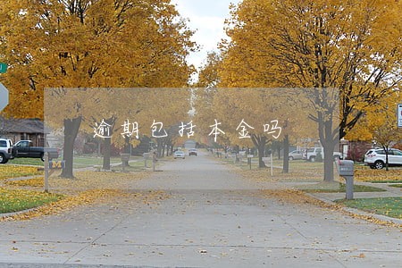 逾期包括本金吗 逾期包括本金吗