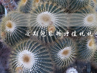 逾期包装物增值税税率是什么 逾期包装物增值税税率是什么