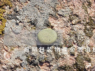 逾期包装物押金增值税计算