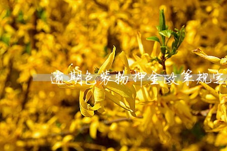 逾期包装物押金政策规定 逾期包装物押金政策规定
