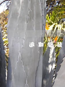 逾期包装物押金算价外费用吗