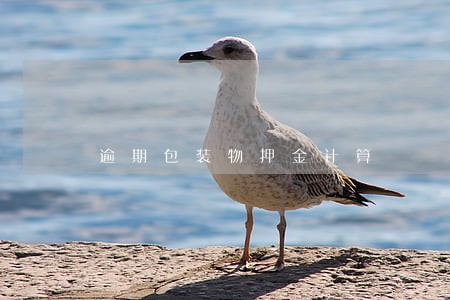逾期包装物押金计算 逾期包装物押金计算