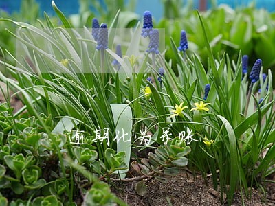 逾期化为呆账 逾期化为呆账