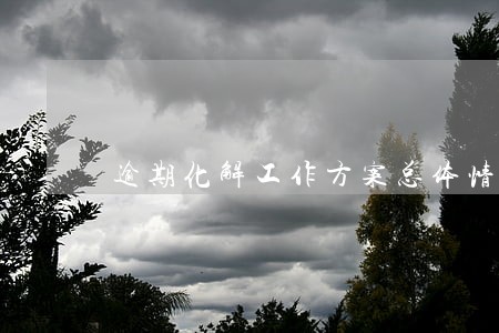 逾期化解工作方案总体情况