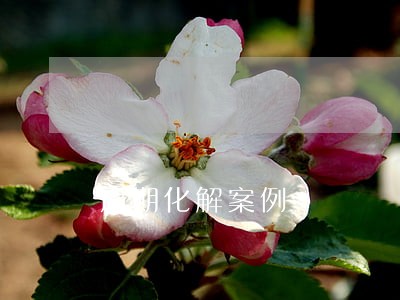 逾期化解案例 逾期化解案例