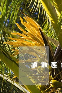 逾期医保会受什么影响呀