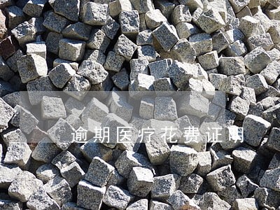 逾期医疗花费证明 逾期医疗花费证明