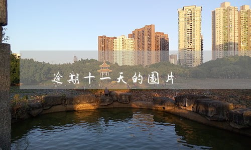 逾期十一天的图片