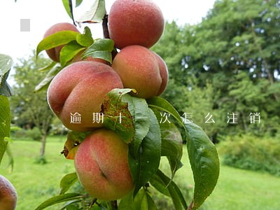 逾期十一次怎么注销 逾期十一次怎么注销