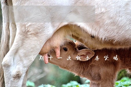 逾期十一次能办房贷吗 逾期十一次能办房贷吗