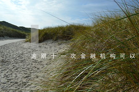 逾期十一次金融机构可以贷款 逾期十一次金融机构可以贷款