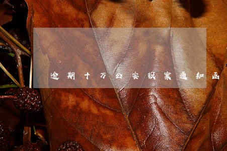 逾期十万公安报案通知函 逾期十万公安报案通知函
