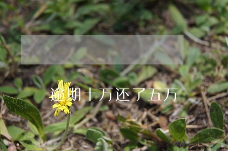 逾期十万还了五万 逾期十万还了五万