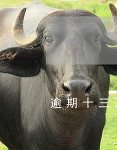 逾期十三万本金大约有多少 逾期十三万本金大约有多少