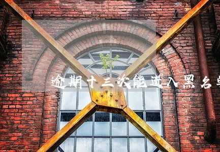 逾期十三次能进入黑名单吗 逾期十三次能进入黑名单吗