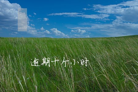 逾期十个小时 逾期十个小时